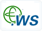 ws Доменное имя extension logo