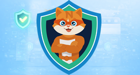 Secure SSL Certificates - Website Encryption Protection